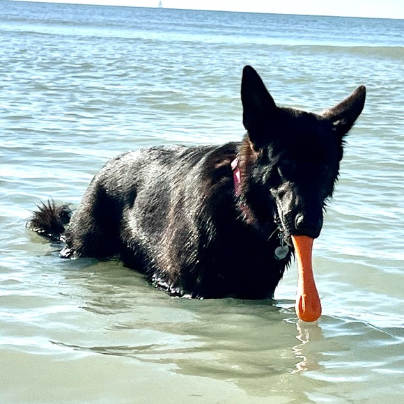 👉PLEASE LIKE AND SHARE NEW GAME! 😊🥰🎉 - Picture 14 of 16